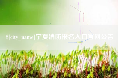 和县宁夏消防报名入口官网公告