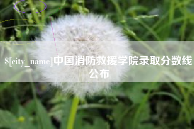 和县中国消防救援学院录取分数线公布