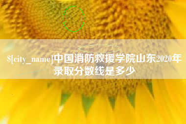 和县中国消防救援学院山东2020年录取分数线是多少