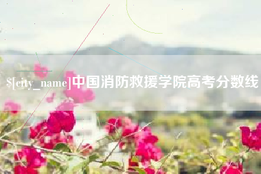 和县中国消防救援学院高考分数线