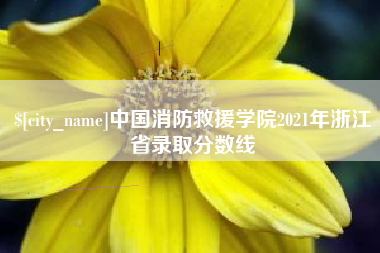 和县中国消防救援学院2021年浙江省录取分数线