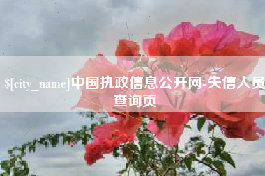 和县中国执政信息公开网-失信人员查询页