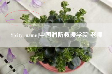 和县中国消防救援学院 老师