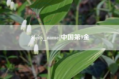 和县中国第9金