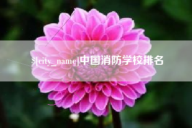 和县中国消防学校排名