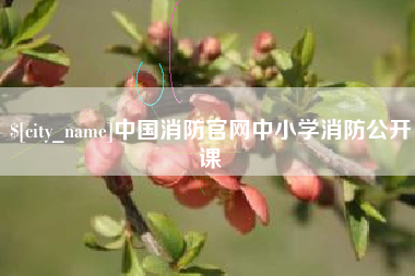 和县中国消防官网中小学消防公开课