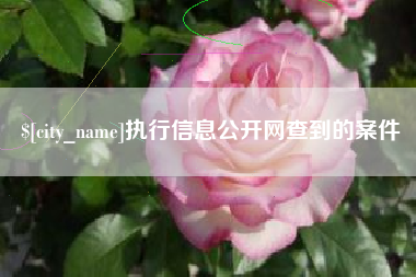 和县执行信息公开网查到的案件