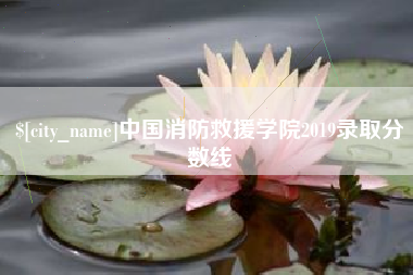 和县中国消防救援学院2019录取分数线