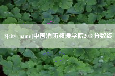 和县中国消防救援学院2018分数线