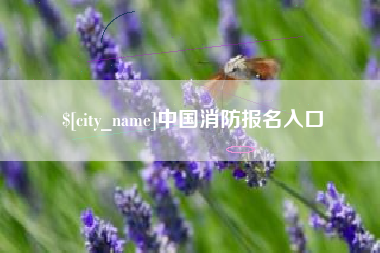 和县中国消防报名入口