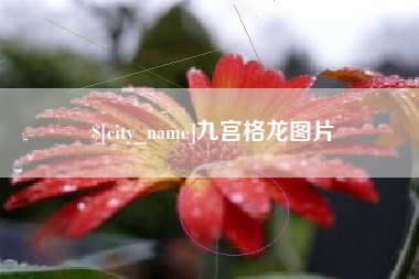 和县九宫格龙图片