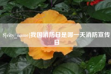 和县我国消防日是哪一天消防宣传日