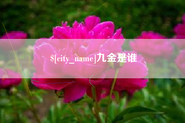 和县九金是谁