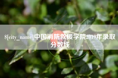和县中国消防救援学院2019年录取分数线
