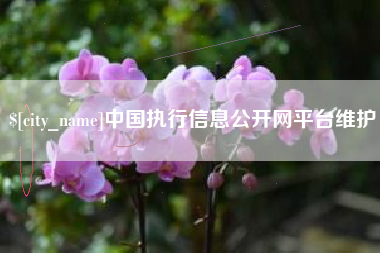 和县中国执行信息公开网平台维护