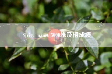 和县5000米及格成绩