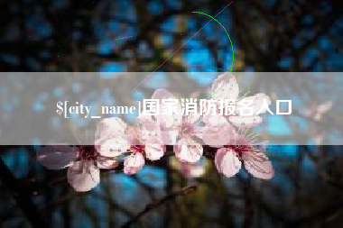 和县国家消防报名入口