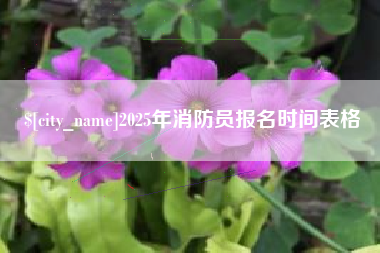 和县2025年消防员报名时间表格