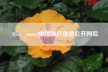 和县中国执行信息公开网后
