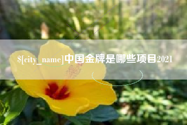 和县中国金牌是哪些项目2021