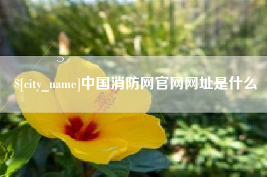和县中国消防网官网网址是什么