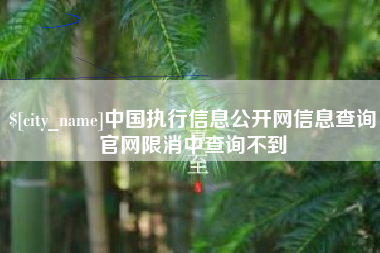 和县中国执行信息公开网信息查询官网限消中查询不到