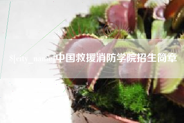 和县中国救援消防学院招生简章