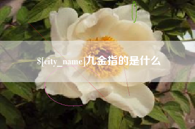 和县九金指的是什么