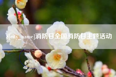 和县消防日全国消防日主题活动