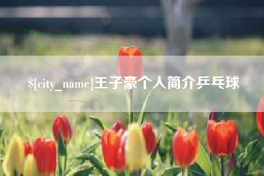 和县王子豪个人简介乒乓球