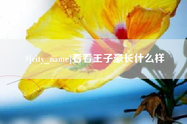 和县看看王子豪长什么样