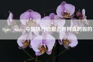和县中国执行信息公开网真的假的