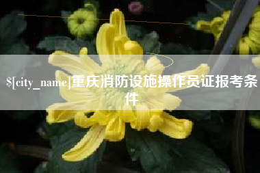 和县重庆消防设施操作员证报考条件