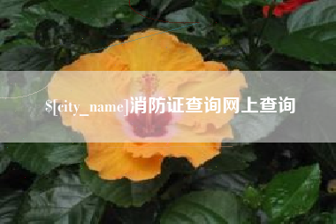 和县消防证查询网上查询