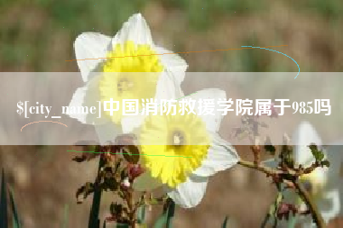 和县中国消防救援学院属于985吗