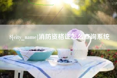 和县消防资格证怎么查询系统