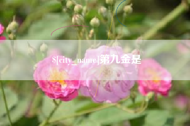 和县第九金是
