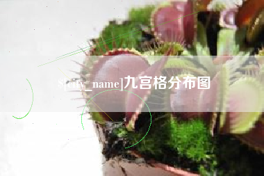 和县九宫格分布图