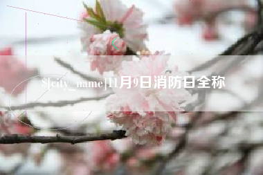 和县11月9日消防日全称