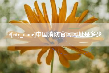 和县中国消防官网网址是多少