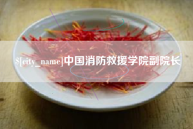 和县中国消防救援学院副院长