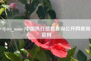 和县中国执行信息查询公开网查询官网