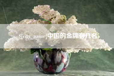和县中国的金牌有几名
