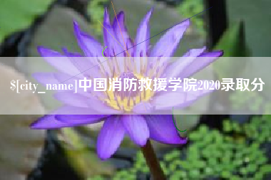 和县中国消防救援学院2020录取分