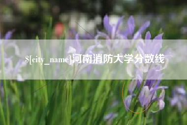和县河南消防大学分数线