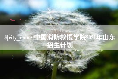 和县中国消防救援学院2021年山东招生计划