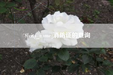 和县消防证的查询