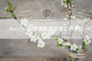 和县中国执行信息公开平台