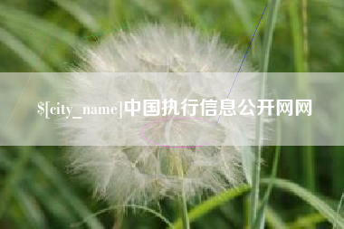 和县中国执行信息公开网网