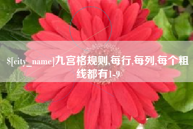 和县九宫格规则,每行,每列,每个粗线都有1-9